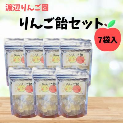 ふるさと納税 矢板市 [渡辺りんご園]りんご飴7袋入り フルーツ飴