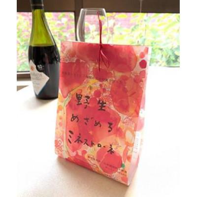 ふるさと納税 平谷村 野生めざめるミネストローネ(180g×4袋)