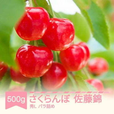 ふるさと納税 村山市 さくらんぼ 佐藤錦 秀Lサイズ 500g バラ詰め 2026年産 山形県産