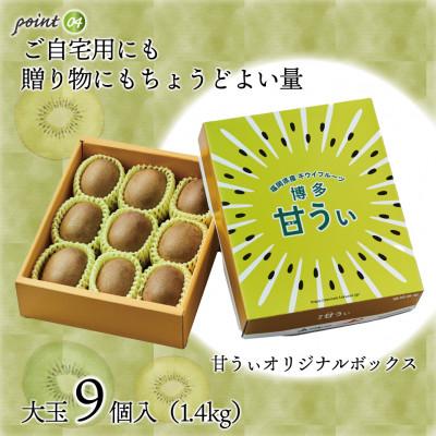 ふるさと納税 太宰府市 【2026年11月より順次発送】福岡県キウイフルーツ「博多甘うぃ」化粧箱 大玉9玉(太宰府市)_3