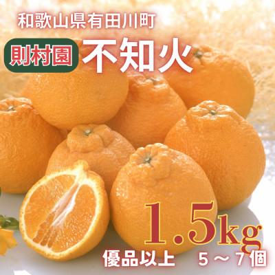 ふるさと納税 有田川町 則村園産 不知火 1.5kg : さとふる - 通販