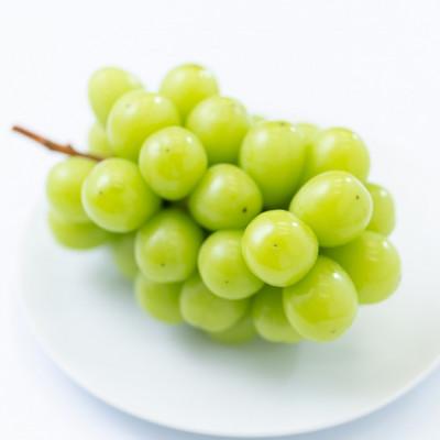 ふるさと納税 日田市 [先行受付]日田産シャインマスカット 1房[夏](日田市)