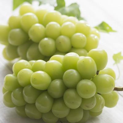 ふるさと納税 日田市 [先行受付]日田産シャインマスカット 2房[秋](日田市)