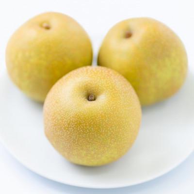 ふるさと納税 日田市 [先行受付]大分県日田市産 旬の梨 約2.5kg(日田市)