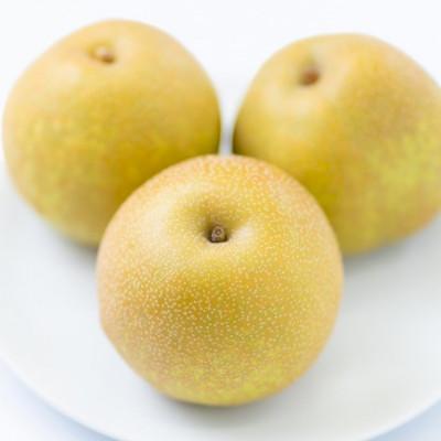 ふるさと納税 日田市 [先行受付]県日田市産 旬の梨 約5kg(日田市)