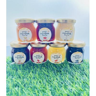 ふるさと納税 中野市 イナカノ ミニ ハニージャム 50g×7種(各1本)セット[信州中野]