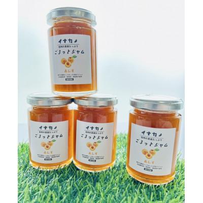 ふるさと納税 中野市 イナカノ ごろっとジャム あんず 140g×4本セット[信州中野]