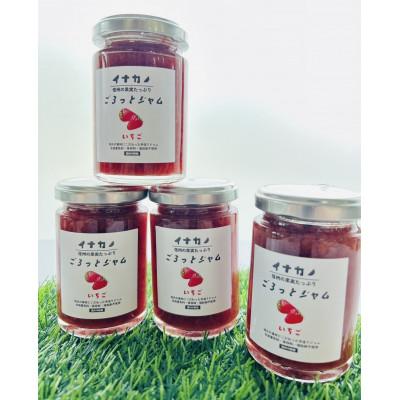 ふるさと納税 中野市 イナカノ ごろっとジャム いちご 140g×4本セット[信州中野]