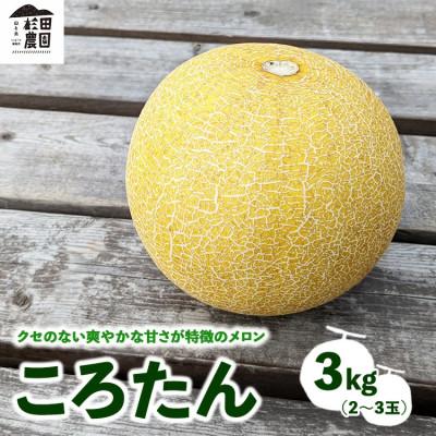 ふるさと納税 猪苗代町 先行予約受付 ころたん メロン 3kg 2〜3個 ※2026年8月下旬〜10月中旬頃に順次発送予定