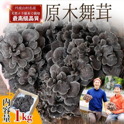 ふるさと納税 丹波山村 [先行予約]丹波山村産 原木舞茸 約1kg