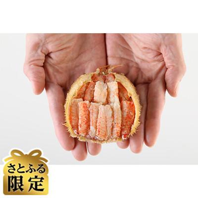 ふるさと納税 福井市 [さとふる限定]北陸産メス毛がに甲羅盛 230g前後×1個