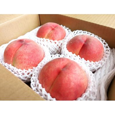 ふるさと納税 長野県 信州うちやま農園の旬の桃 大玉4個(計約1.2kg)(白鳳、又は白桃系品種)の画像