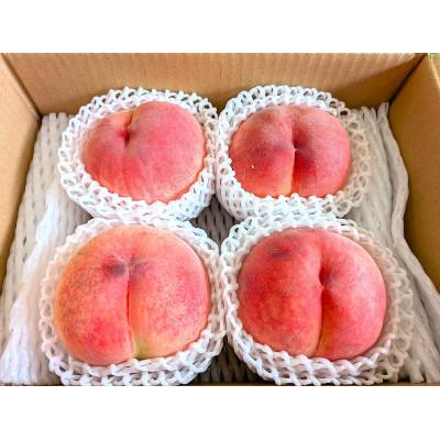 ふるさと納税 長野県 信州うちやま農園の旬の桃 大玉4個(計約1.2kg)(白鳳、又は白桃系品種)の画像