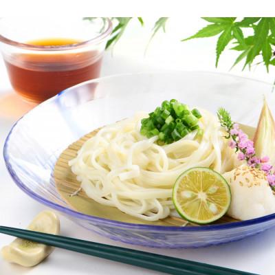 ふるさと納税 観音寺市 麺しるべ讃岐ざるうどん 60人前 本場のコシとのど越し 乾麺