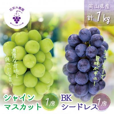 ふるさと納税 津山市 [2026年先行受付]岡山 花笑み農園『シャインマスカット&amp;BKシードレス』1kg(2房)BS-1