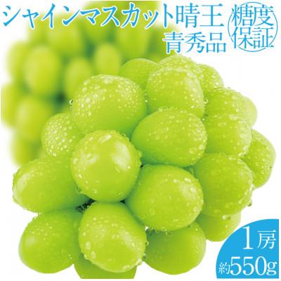 ふるさと納税 岡山市 2026年 先行予約 シャインマスカット 晴王 1房 約550g 岡山県産 9月〜10月順次発送