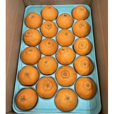 ふるさと納税 由良町 [訳あり]和歌山県産不知火(玉数おまかせ)約4キロ〜6キロ