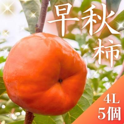 ふるさと納税 大野町 真っ赤で大きくて甘い! [早秋柿] 4L×5個 秀品 岐阜県 大野町(2025年10月中旬〜発送)