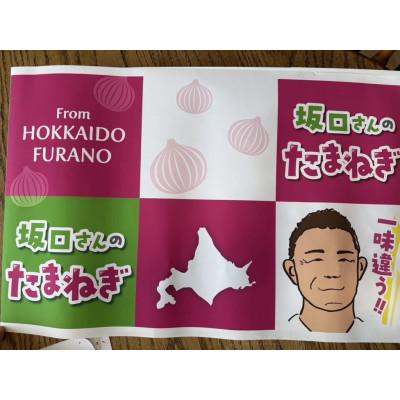 ふるさと納税 富良野市 【2026年9月から順次発送】坂口農産 玉ねぎ 10kgの画像