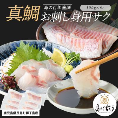 ふるさと納税 長島町 獅子島産 百年漁師の真鯛 お刺身用サク(約100g×6パック)_gochi-7053R8
