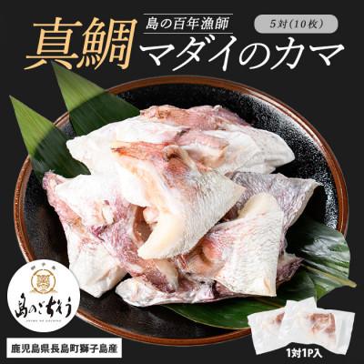 ふるさと納税 長島町 獅子島産 百年漁師の真鯛 カマ(5対10個)_gochi-7057R8