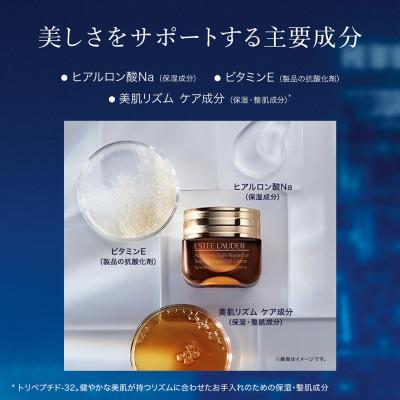 ふるさと納税 茨城県 エスティ ローダー アドバンス ナイト リペア