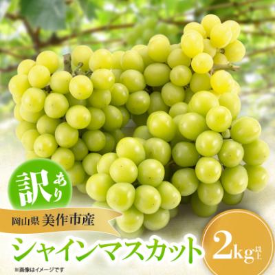 ふるさと納税 美作市 【訳あり】シャインマスカット 2Kg : さとふる