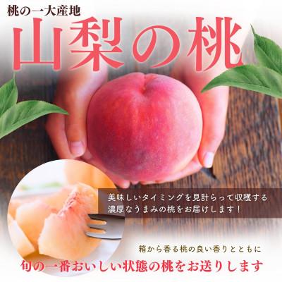 ふるさと納税 丹波山村 【2026年先行予約】朝もぎ直送!『山梨県産 桃』5〜8玉 約2kg規格箱入りの画像