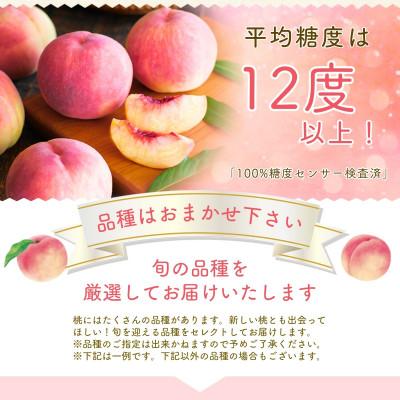 ふるさと納税 丹波山村 【2026年先行予約】朝もぎ直送!『山梨県産 桃』5〜8玉 約2kg規格箱入りの画像