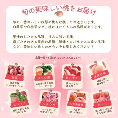 ふるさと納税 丹波山村 【2026年先行予約】朝もぎ直送!『山梨県産 桃』5〜8玉 約2kg規格箱入りの画像