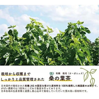 ふるさと納税 佐賀市 有機栽培 桑の葉茶(3個セット)