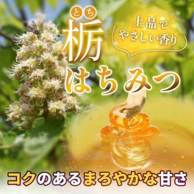 ふるさと納税 盛岡市 藤原黄金蜂蜜 栃 550g 完熟 単花蜜 藤原養蜂場 岩手県盛岡市の画像