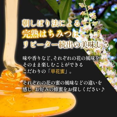 ふるさと納税 盛岡市 藤原黄金蜂蜜 栃 550g 完熟 単花蜜 藤原養蜂場 岩手県盛岡市の画像