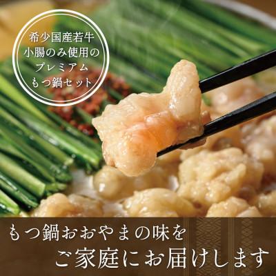 ふるさと納税 糸田町 【博多もつ鍋おおやま】もつ鍋みそしょうゆ食べ比べ各3人前(合計6人前)(糸田町)_1