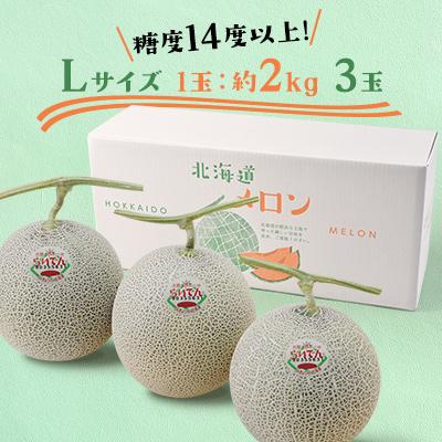 根付師　勝斉在銘　大ぶり牛根付　約6.5cm トヒチ　東ゆ7-0914⭐︎1F ふるさと納税 共和町 【先行受付/2026年発送】北海道 共和町産 らいで