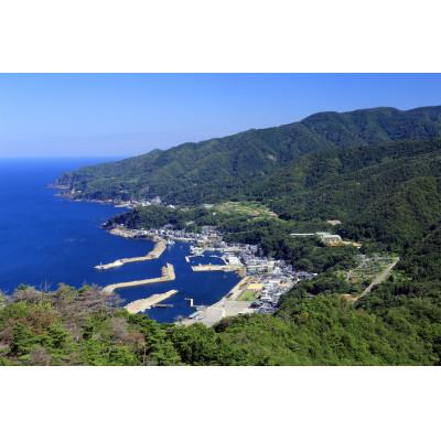 ふるさと納税 越前町 [返礼品なし]福井県越前町 〜越前 E-town brand 寄付のみの応援受付 3,000円コース