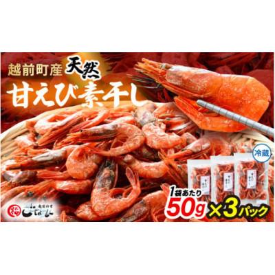 ふるさと納税 越前町 [のし付]産地直送!越前町産 天然 甘えび素干し 計150g(50g × 3パック)