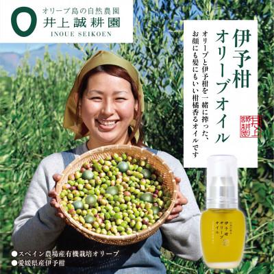 ふるさと納税 小豆島町 【井上誠耕園】スペイン農場産 伊予柑オリーブ