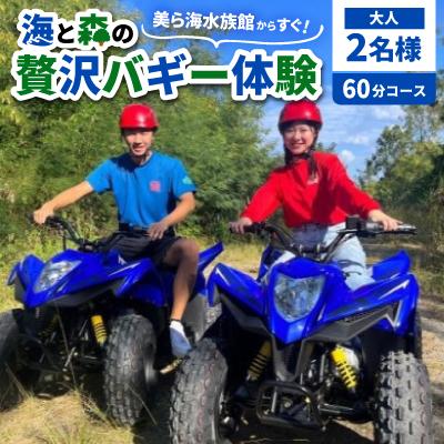 ふるさと納税 本部町 美ら海水族館からすぐ!海と森の贅沢バギー体験 大人2名様 60分コース