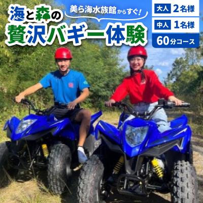 ふるさと納税 本部町 美ら海水族館からすぐ!海と森の贅沢バギー体験 大人2名様 中人1名様 60分コース