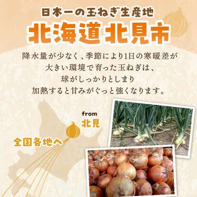 ふるさと納税 北見市 生産量日本一北海道北見玉ねぎ20kg スープ計2本付(オニオン・ほたて)2026年9月より順次発送の画像