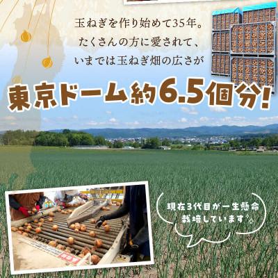 ふるさと納税 北見市 生産量日本一北海道北見玉ねぎ10kg スープ計2本付(オニオン・ほたて)2026年9月より順次発送の画像