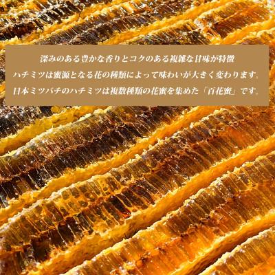 ふるさと納税 太宰府市 太宰府百花蜜 日本ミツバチ 国産蜂蜜100% 140g×2個の画像
