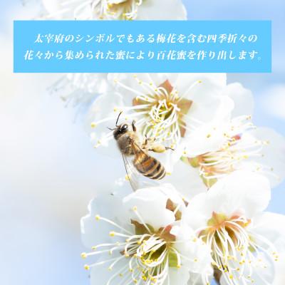 ふるさと納税 太宰府市 太宰府百花蜜 日本ミツバチ 国産蜂蜜100% 140g×2個の画像
