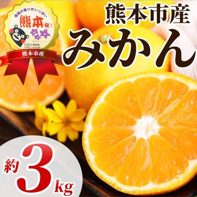 ふるさと納税 熊本市 温州みかん 2S〜2L 約3kg(熊本市)
