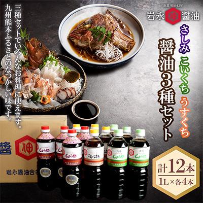 ふるさと納税 芦北町 [岩永醤油]さしみ醤油・こいくち醤油・うすくち醤油 1L×各4本 S-BW