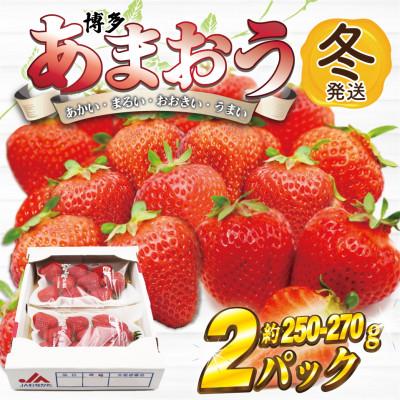ふるさと納税 春日市 [2025年12月上旬〜26年1月下旬発送予定]博多あまおう(冬)250g-270g×2P(春日市)