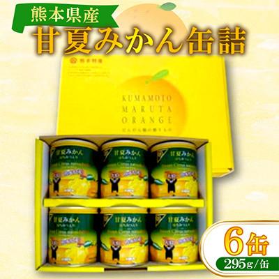 ふるさと納税 芦北町 甘夏みかん缶詰(6缶入) B206-09