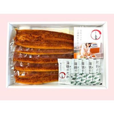 ふるさと納税 浜松市 うなぎの五島 こだわりのうなぎ真空蒲焼詰合せ(訳有り5尾入り)