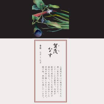 ふるさと納税 みよし市 ノリタケ【京香旬彩】27cmプレート(加茂茄子)の画像